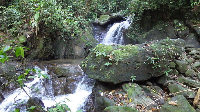 retour trekking Bukit Lawang - chgut