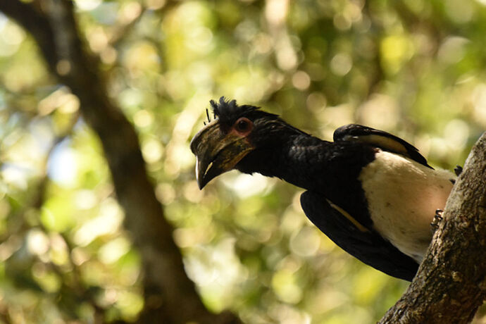 Re: Au paradis ! Compte rendu d'un voyage de 2 petites semaines en Afrique du Sud - L-argonnais Re: Au paradis ! Compte rendu d'un voyage de 2 petites semaines en Afrique du Sud - L-argonnais