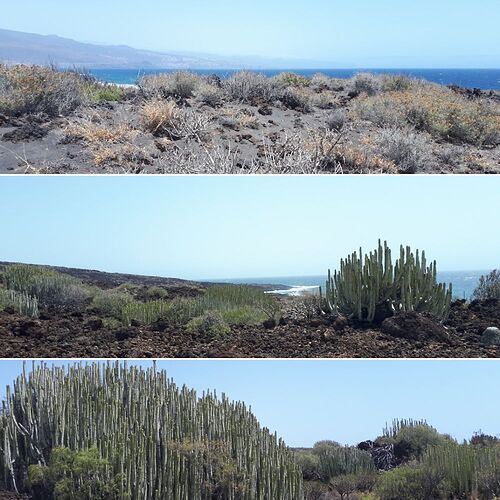 8 jours à Tenerife - entre volcans et grands espaces - Mathou2139