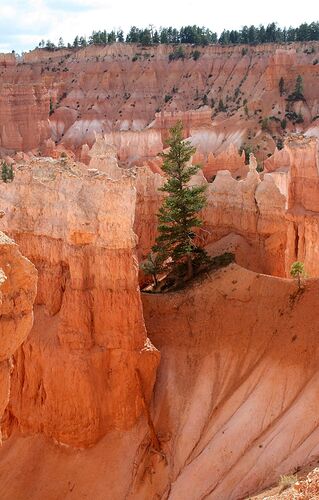 et Bryce Canyon ? - Hiacinthe