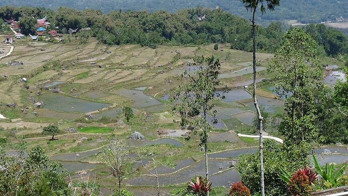 1 mois à Sulawesi en photo septembre 2019 - desbleu