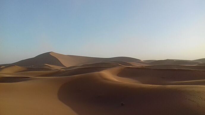 Palmier, dunes et oasis de l'Oued Drâa - elfete