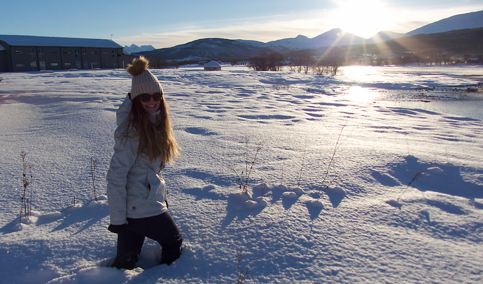 NORVEGE : îles Lofoten et Senja en hiver - vanessavoyage