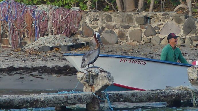 Re: Retour 2 semaines en Guadeloupe - michele87