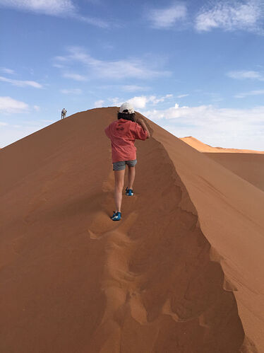 J14 - Dead vlei, Sossusvlei, Tsaris Mountains - llce