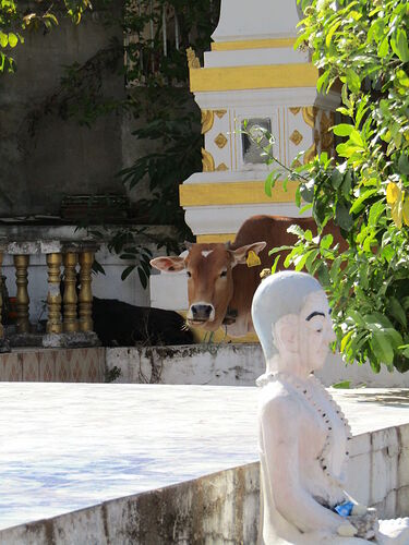 Du Sud au Nord, les milles couleurs du Laos - N-Gwen