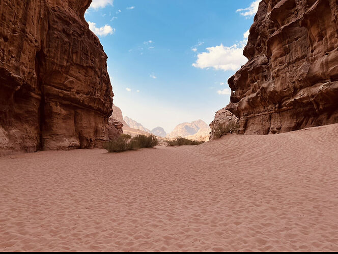 Re: Magic Wadi Rum avec Mohammad - SarahBens