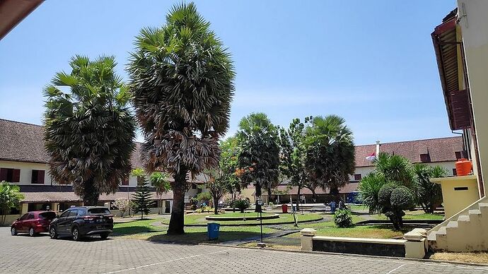 1 mois à Sulawesi en photo septembre 2019 - desbleu