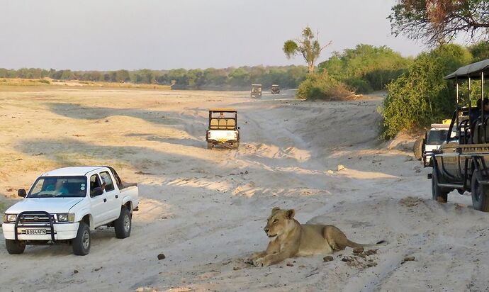 Re: NAMBOTSVIC Namibie- Botswana- Victoria Falls, 3 semaines magiques - PATOUTAILLE