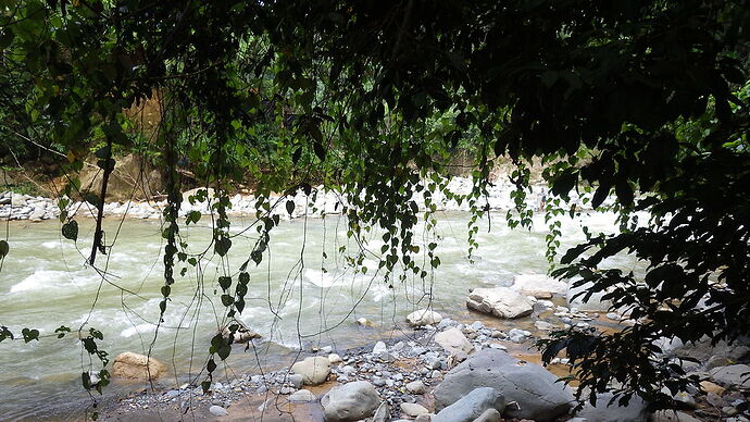 retour trekking Bukit Lawang - chgut