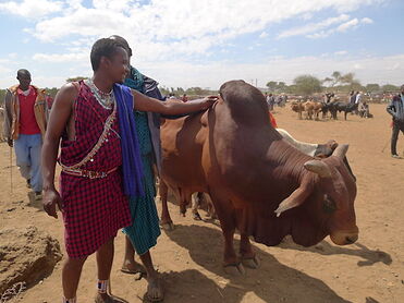 Amboseli, séjour dans un village Maasai - Mistake35
