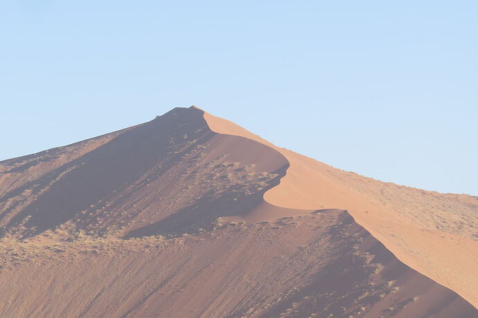 Re: Organisation de la matinée à Sossusvlei - paysages7117