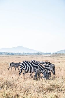 Safari à pied et à vélo au Kénya  - Itsme-stupid