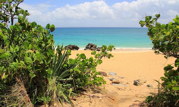 Une nouvelle plage !