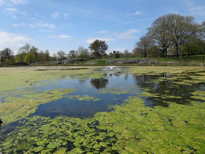 Crotona Park en photos - sourisgrise