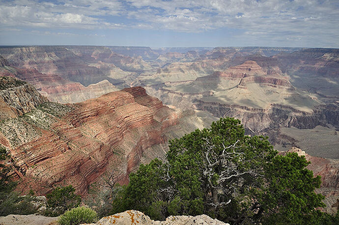 Lundi 10 août : Grand Canyon South Rim - darth