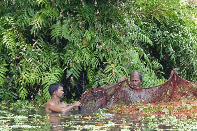 Ne pas manquer les Backwaters ! - quinqua voyageuse