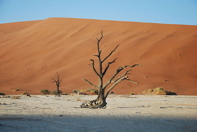 J14 - Dead vlei, Sossusvlei, Tsaris Mountains - llce