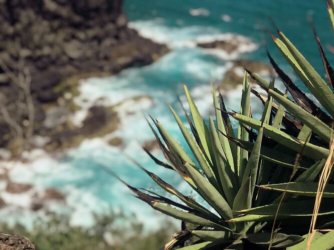 Le temps d'un week-end : la traversée d'Ouest en Est de La Réunion en van - Brice de travelsgallery Le temps d'un week-end : la traversée d'Ouest en Est de La Réunion en van - Brice de travelsgallery