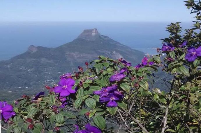 Re: 12 jours au Brésil avec mariage à Ilhabela - France-Rio