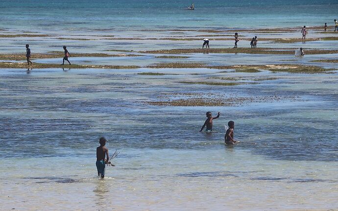 Re: Côte ouest de Tuléar à Morondava - worlder56