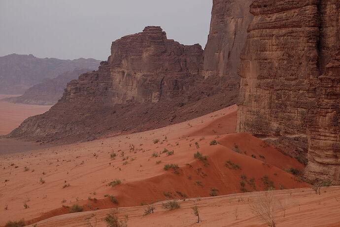 Jours passionnants dans le désert de Wadi Rum avec le bon bédouin Momoo - eelizza