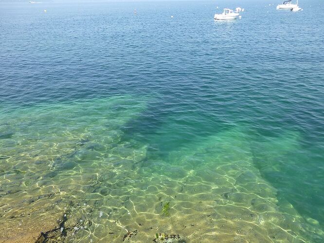 Re: Carnet de voyage, une semaine sous le soleil de Bretagne - Fecampois