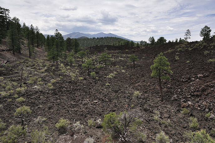 Mercredi 29 Juillet : Sunset Crater Volcano et Wupatki NM’s - darth