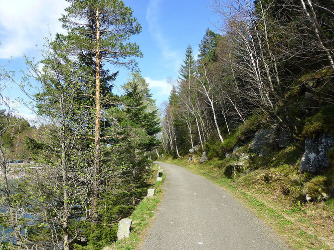 Carnet de voyage, 10 jours Alsaciens, printemps 2018 - Fecampois