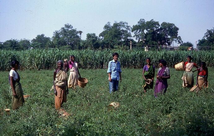 Re: Que voir et faire au sud de l'Inde ?  - yensabai