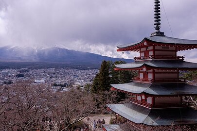 Une pagode, une moitié de Mont Fuji et un cerisier en bourgeon. Néanmoins, une marche bien agréable.