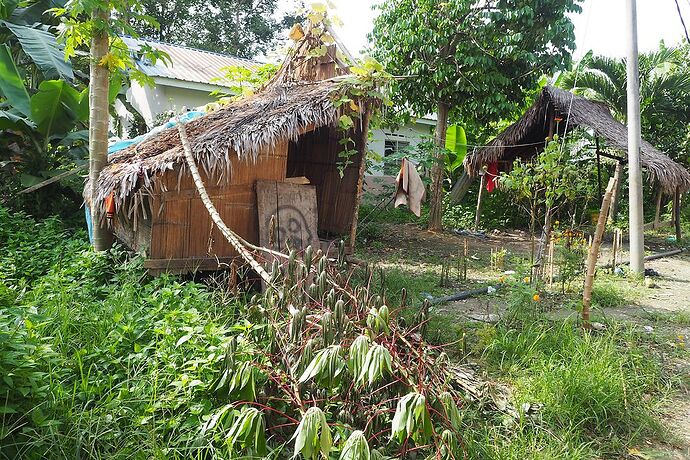 Rendez-vous en jungle inconnue ! Rencontre avec les Batek du Taman Negara - Meryll Evasy