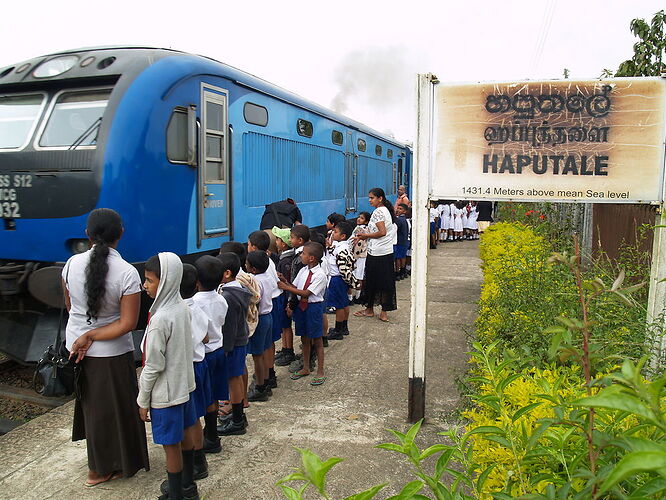 Re: Train au Sri Lanka - Alain P.