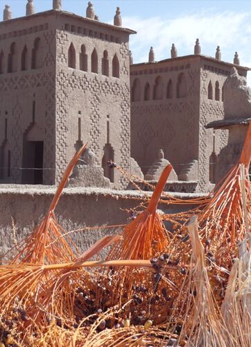 Re: Montagnes, oasis, kasbahs du Maroc  - mimidada