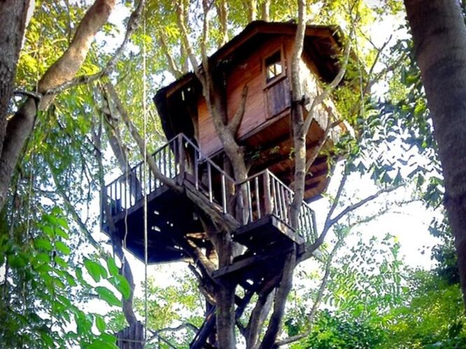 Re: Nuitées cabane dans les arbres à Chiang Mai - CNX Re: Nuitées cabane dans les arbres à Chiang Mai - CNX
