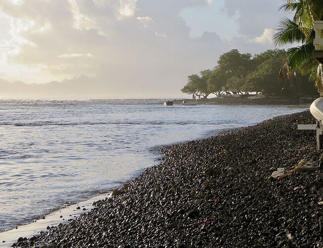 Retour de POLYNÉSIE : Tahiti/Punaauia - PATOUTAILLE