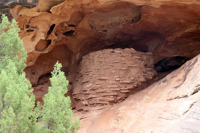 Moab  Canyonlands partie sud  Monticello - Hiacinthe