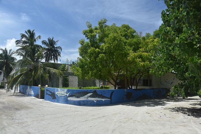 Re: 1er Voyage en île locale aux Maldives : Dhigurah, Thoddoo  - Roxie