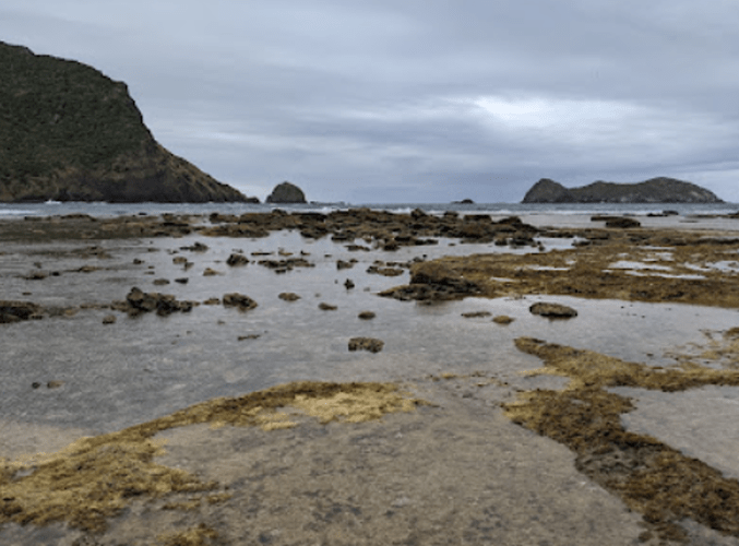 Randonnées et détente au plus près de la nature: 5 jours sur Lord Howe Island - exploringpaw