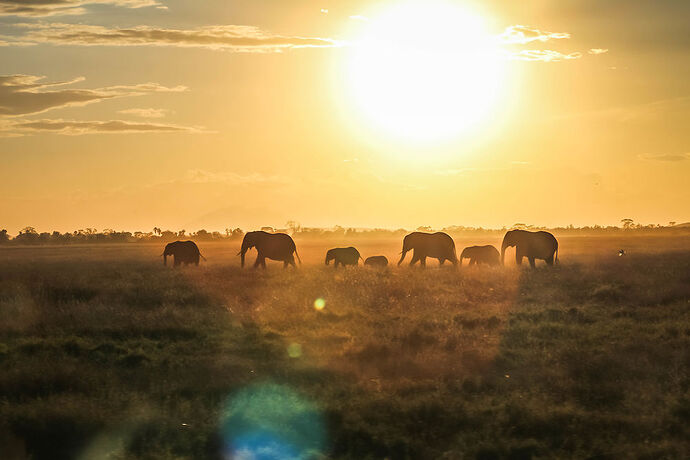 Re: Waltz Tours Safaris au Kenya - Sarah-Breton