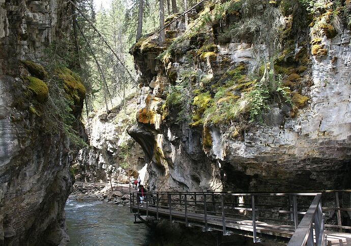 en passant par la Icefields Parkway  - Hiacinthe