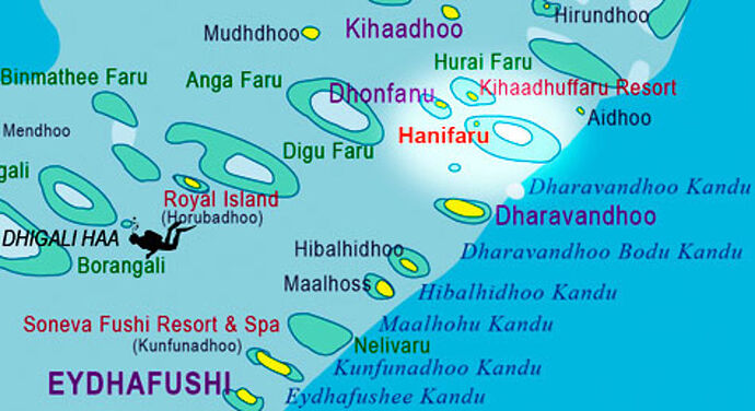 Maldives Snorkeling - Juin - Baa Atoll - Mantas saison - Philomaldives  Guide  Maldives