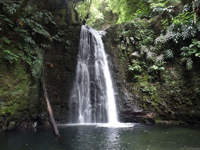 2 semaines sur Sao Miguel sans s'ennuyer! - PepetteEnVadrouille