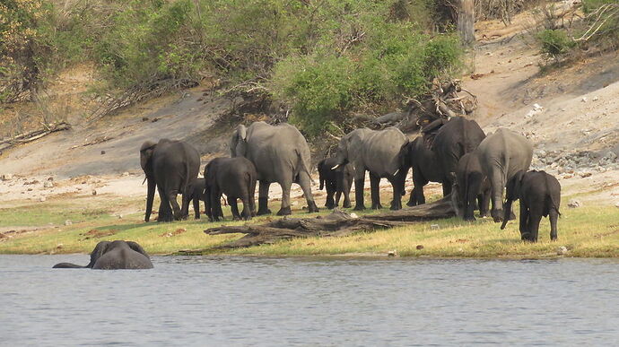 Re: NAMBOTSVIC Namibie- Botswana- Victoria Falls, 3 semaines magiques - PATOUTAILLE