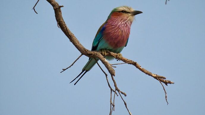 Re: NAMBOTSVIC Namibie- Botswana- Victoria Falls, 3 semaines magiques - PATOUTAILLE