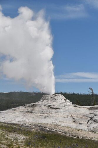 Re: Deux nouveaux coups de foudre : la star Yellowstone et le discret Valley of fire - katia1372