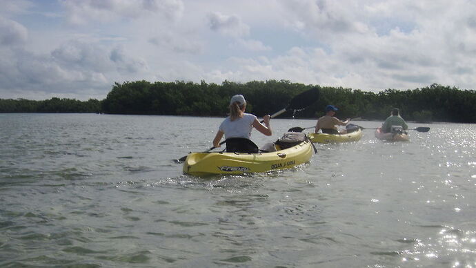 Re: Snorkeling à Key west - Fra67