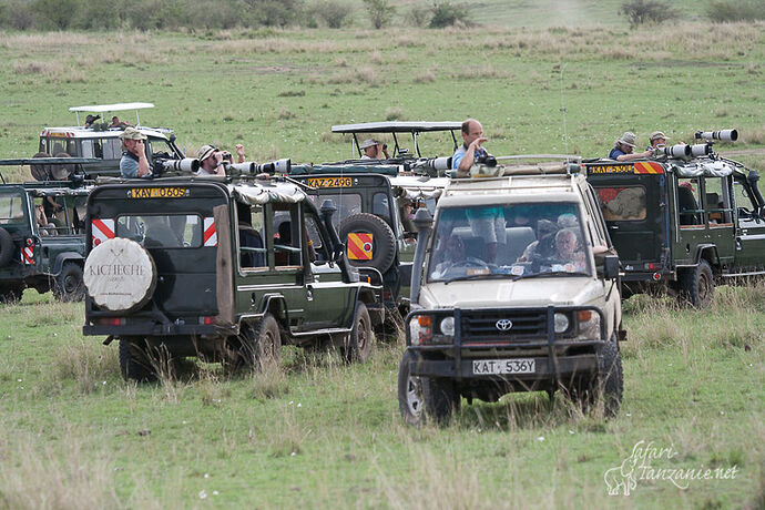 Re: la hantise dans un safari !!!! - BLESL