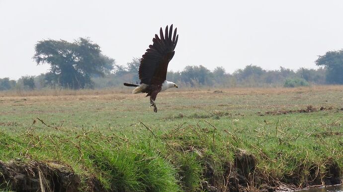 Re: NAMBOTSVIC Namibie- Botswana- Victoria Falls, 3 semaines magiques - PATOUTAILLE