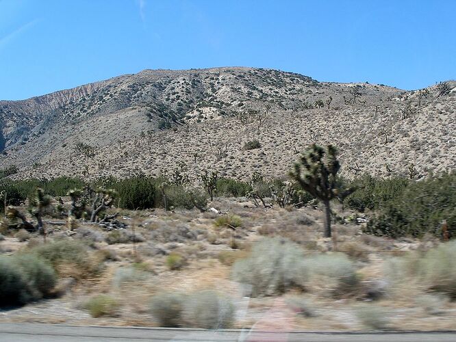 la I-15 au nord de Mojave National Preserve  - Hiacinthe